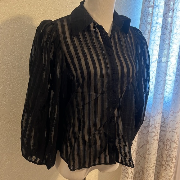 Zara organza statement sleeve striped blouse - Picture 2 of 8